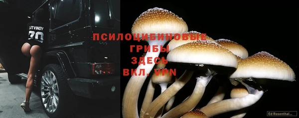 скорость Лиски