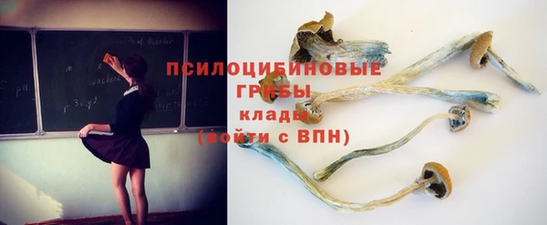скорость Лиски
