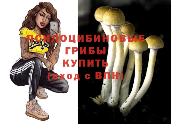 скорость Лиски