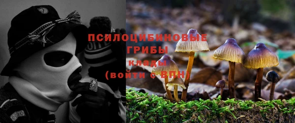 Альфа ПВП Липки