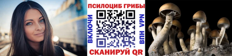 Галлюциногенные грибы Cubensis  Старый Крым 